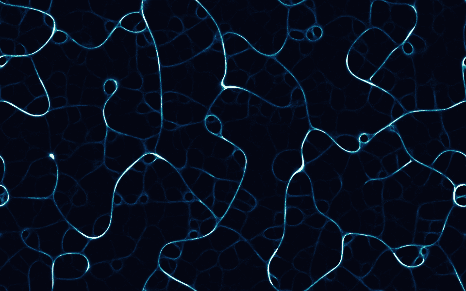 A Physarum simulation: pale branching filaments forming a self-organising transport network on a dark background.