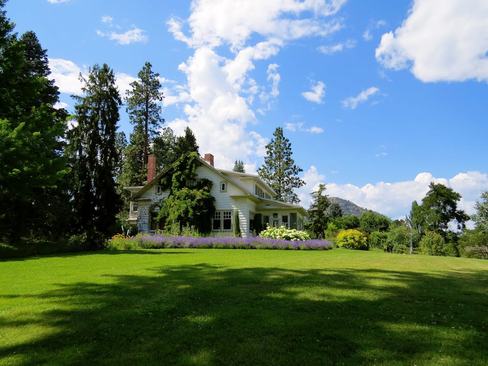 Beautiful green lawn with professional landscaping