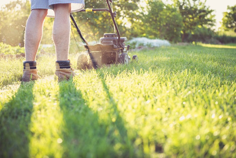 Weekly Mowing