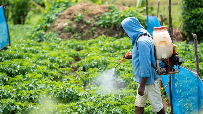 Weed Control