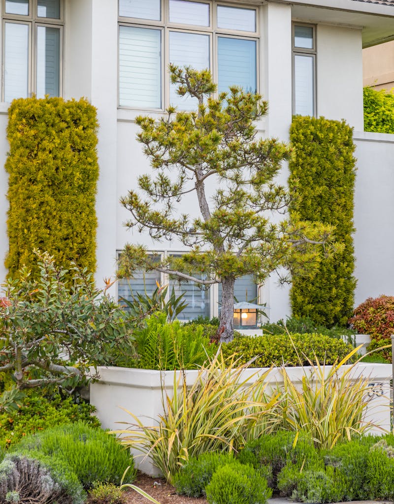 Landscaping