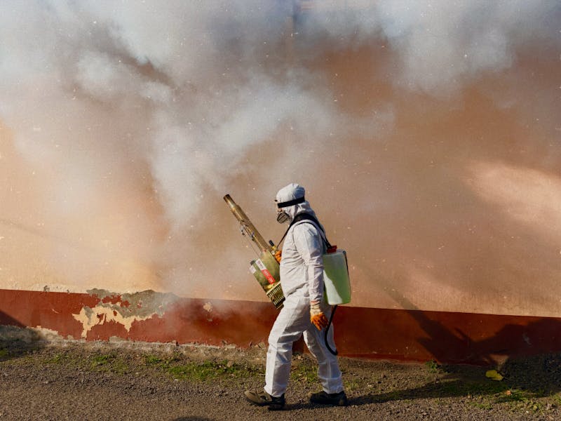 Professional pest control technician
